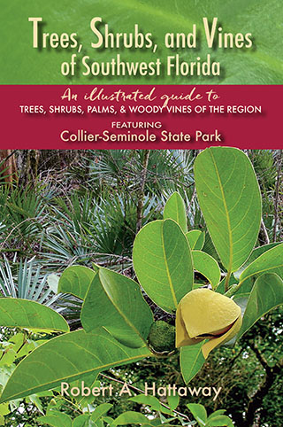 bookcover Trees, Shrubs, and Vines of Southwest Florida by Robert A. Hattaway
