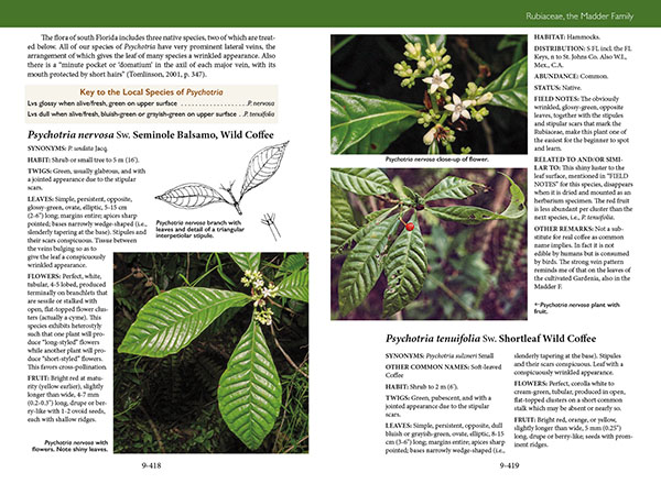 page from Trees, Shrubs, and Vines of Southwest Florida by Robert A. Hattaway