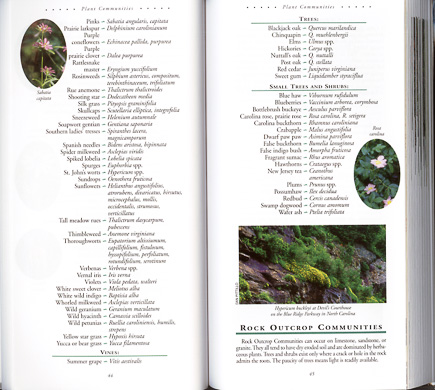 page from All About South Carolina Wildflowers by Jan Midgley